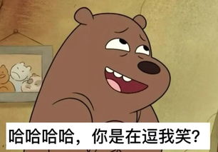 神木驚現“神兔網絡”？警方追查盜竊團伙